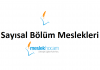 sayısal bölüm meslekleri