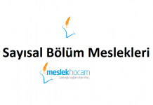 sayısal bölüm meslekleri