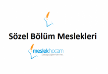 Sözel Meslekler